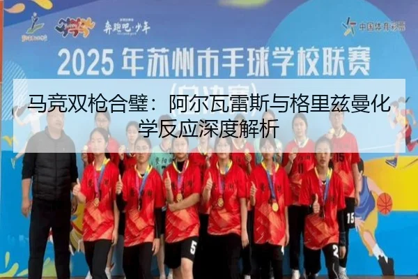 ma-jing-shuang-qiang-he-bi-a-er-wa-lei-si-yu-ge-li-zi-man-hua-xue-fan-ying-shen-du-jie-xi-2-609.jpg