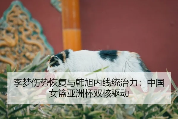 li-meng-shang-shi-hui-fu-yu-han-xu-nei-xian-tong-zhi-li-zhong-guo-nv-lan-ya-zhou-bei-shuang-he-qu-dong-3-638.jpg