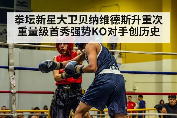 拳坛新星大卫贝纳维德斯升重次重量级首秀强势KO对手创历史